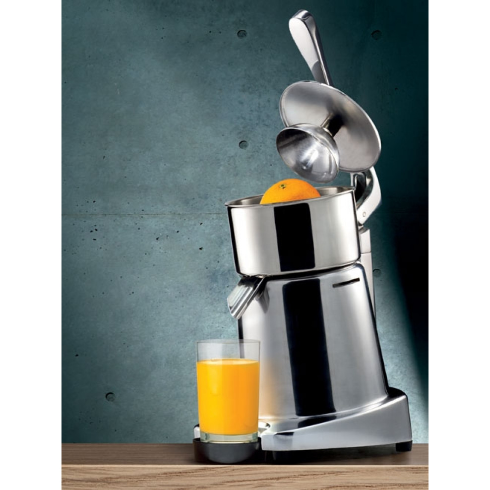 Citrus juicer online